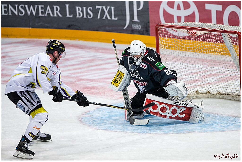 Koelner Haie - Krefelder Pinguine, 22.11.2016